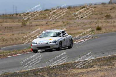 media/May-03-2025-Lucky Dog Racing (Sat) [[206de64b9d]]/Turn 6 (150pm-230pm)/